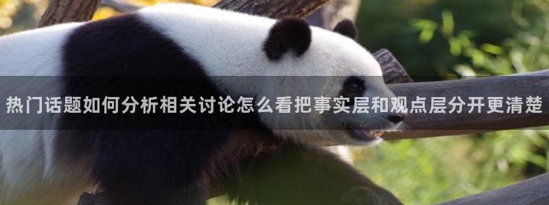 网络吃瓜热点
