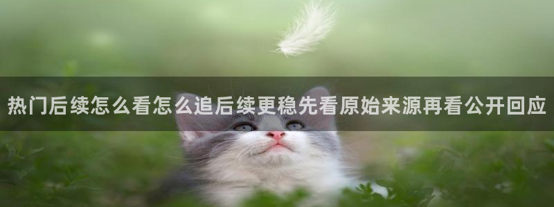 每日热点资讯