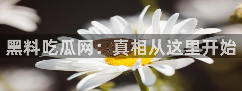911吃瓜资讯入口