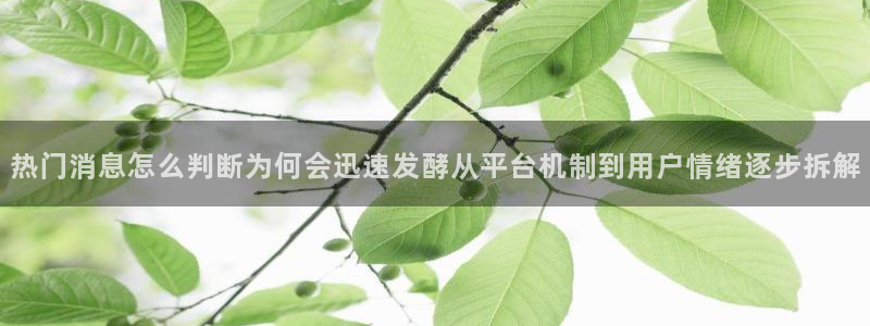 911爆料热搜