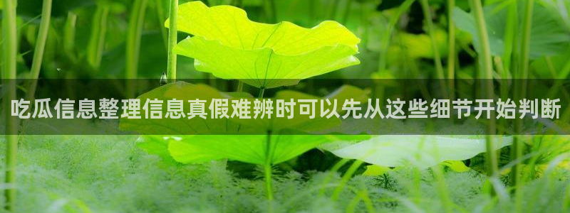 911吃瓜今日热搜:吃瓜信息整理信息真假难辨时可以先从这些细节开始判断