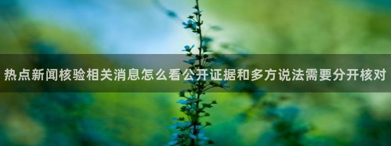 吃瓜热点网