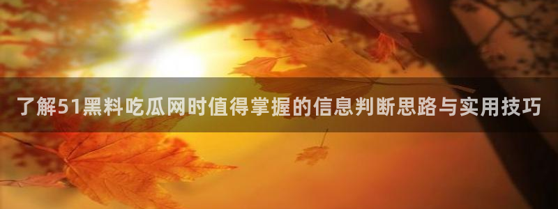 网络吃瓜事件:了解51黑料吃瓜网时值得掌握的信息判断思路与实用技巧