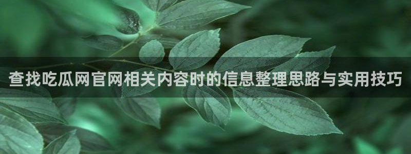 吃瓜爆料热点:查找吃瓜网官网相关内容时的信息整理思路与实用技巧