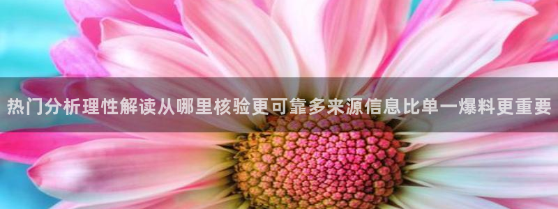 热点资讯大全:热门分析理性解读从哪里核验更可靠多来源信息比单一爆料更重要
